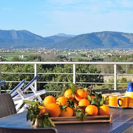 081 Finca Els Tarongers Etv5766 By Mallorca Charme Муро Екстер'єр фото